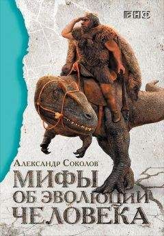 Александр Белов - Антропологический детектив. Боги, люди, обезьяны...