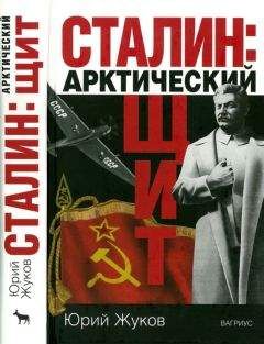 Юрий Дроздов - Юрий Андропов и Владимир Путин. На пути к возрождению