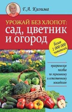 Галина Кизима - Урожай без хлопот: сад, цветник и огород