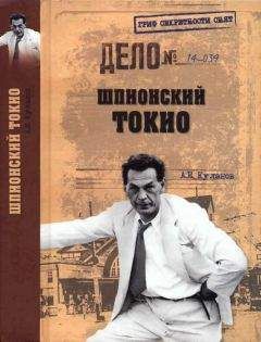 Александр Брасс - Миссия выполнима. Удары израильского спецназа