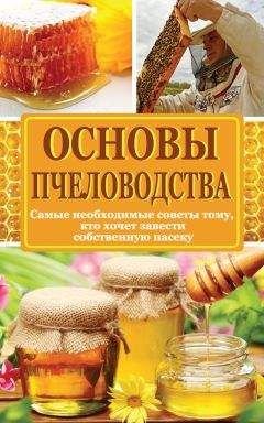 Н. Медведева - Основы пчеловодства. Самые необходимые советы тому, кто хочет завести собственную пасеку