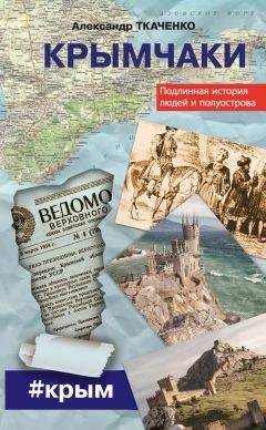 Ник Билтон - Инкубатор Twitter. Подлинная история денег, власти, дружбы и предательства