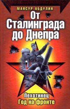 Эдельберт Холль - Агония Сталинграда. Волга течет кровью