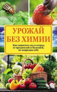 Надежда Коцарева - Золотые правила садовода и огородника