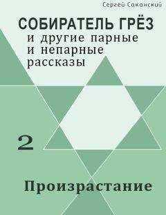 Борис Мишарин - Ангел возмездия