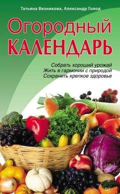 Г Чепульченко - Юридический справочник