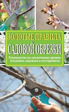 И. Соколов - Обрезка деревьев и кустарников плодовых и декоративных