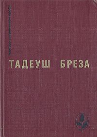 Тадеуш Бреза - Лабиринт