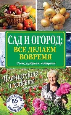 Галина Кизима - Сад и огород на дачном участке. 500 подробных ответов на все самые важные вопросы