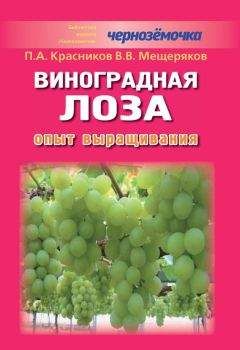 Анастасия Колпакова - Ваш домашний виноградник