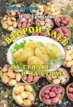 Галина Кизима - Большая книга огородника и садовода. Все секреты плодородия