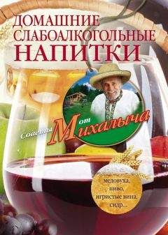 Ирина Байдакова - Самогон и другие спиртные напитки домашнего приготовления