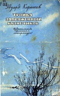 Владимир Длугач - Тройка без тройки