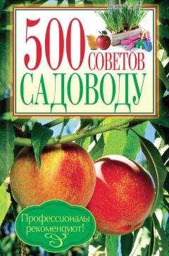 Галина Кизима - Большая энциклопедия садовода-огородник от А до Я
