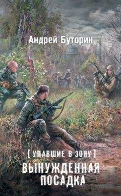 Андрей Буторин - Упавшие в Зону. В поисках выхода