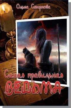 Ольга Смирнова - Тёмный стражник