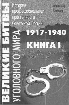 Александр Сидоров - Великие битвы уголовного мира. История профессиональной преступности Советской России. Книга вторая (1941-1991 г.г.)