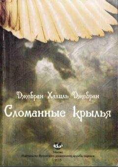 В Ирхин - Крылья Феникса; Введение в квантовую мифофизику