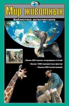  Британская ассоциация по ветеринарии мелких животных - Руководство по репродукции и неонатологии собак и кошек