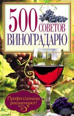 Тамара Руцкая - Полный справочник виноградаря. Особенности выращивания в России