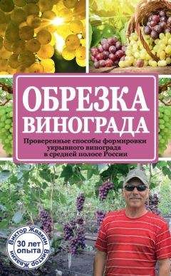 Александр Селиванов - Редкие растения в вашем саду