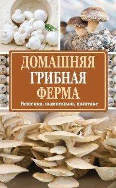 Михаил Ильин - Аквариумное рыбоводство