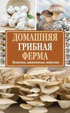 Зоряна Ивченко - Когда гости на пороге