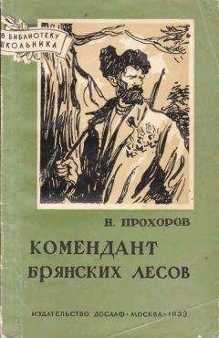 Владимир Долин (Белоусов) - Чоновцы на Осколе