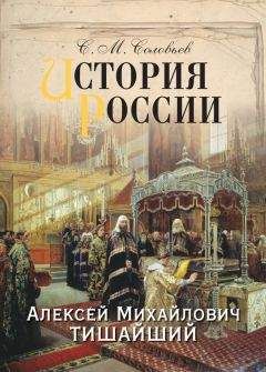 Сергей Соловьев - Рассказы из русской истории 18 века