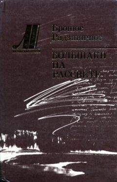 Бронюс Радзявичюс - Большаки на рассвете