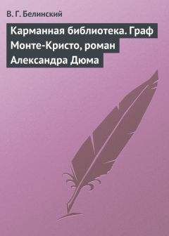 Виссарион Белинский - Журнальные и литературные заметки