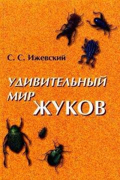 Александр Никольский - Занимательная физиология