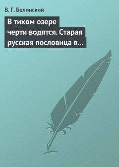 Виссарион Белинский - Новые досуги Федора Слепушкина