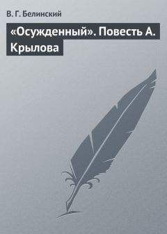 Виссарион Белинский - Литературные и журнальные заметки