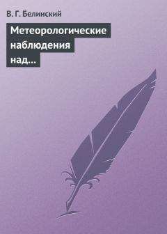 Виссарион Белинский - Общее значение слова литература