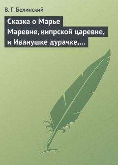 Виссарион Белинский - Журнальные и литературные заметки