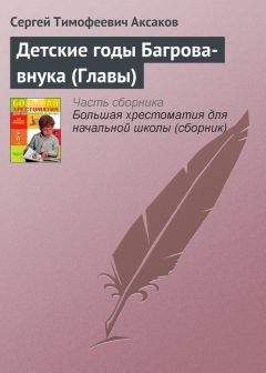 Сергей Аксаков - Воспоминания