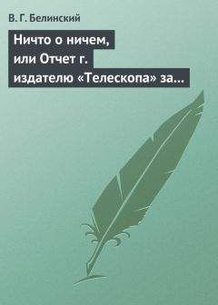 Виссарион Белинский - Очерки русской литературы