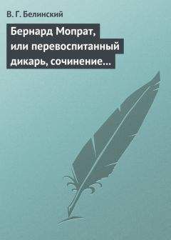 Виссарион Белинский - Искатель сильных ощущений. Сочинение Каменского