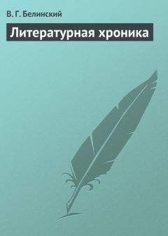 Виссарион Белинский - Литературная хроника <«Современник». Том девятый>