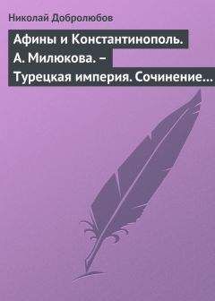 Николай Добролюбов - Исторический рассказ о литовском дворянстве