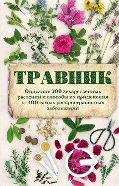 А. Подоляк - Травник. Описание 300 лекарственных растений и способы их применения от 100 самых распространенных заболеваний