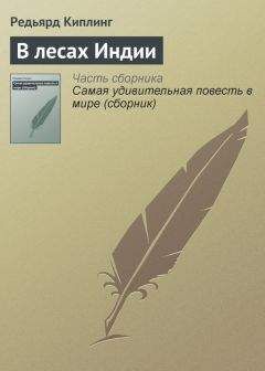 Редьярд Киплинг - Мальчик с кучи хвороста