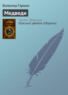 Всеволод Гаршин - Очень коротенький роман