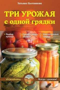 Светлана Дубровская - Разумный огородник. 1000 советов начинающим и опытным