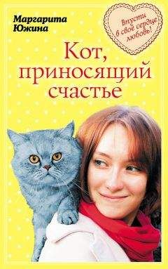 Арина Ларина - Принц б/у
