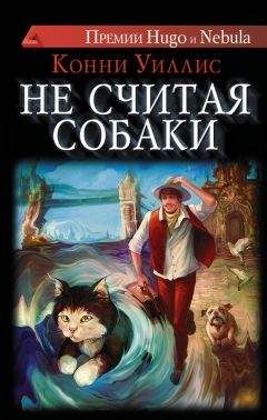 Ариадна Громова - В Институте Времени идет расследование