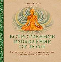 Денни Пенман - Осознанная медитация. Практическое пособие по снятию боли и стресса