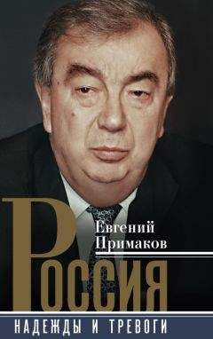 Владимир Лисичкин - Россия под властью плутократии