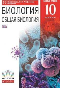 Глеб Швецов - Биология. Введение в общую биологию. 9 класс